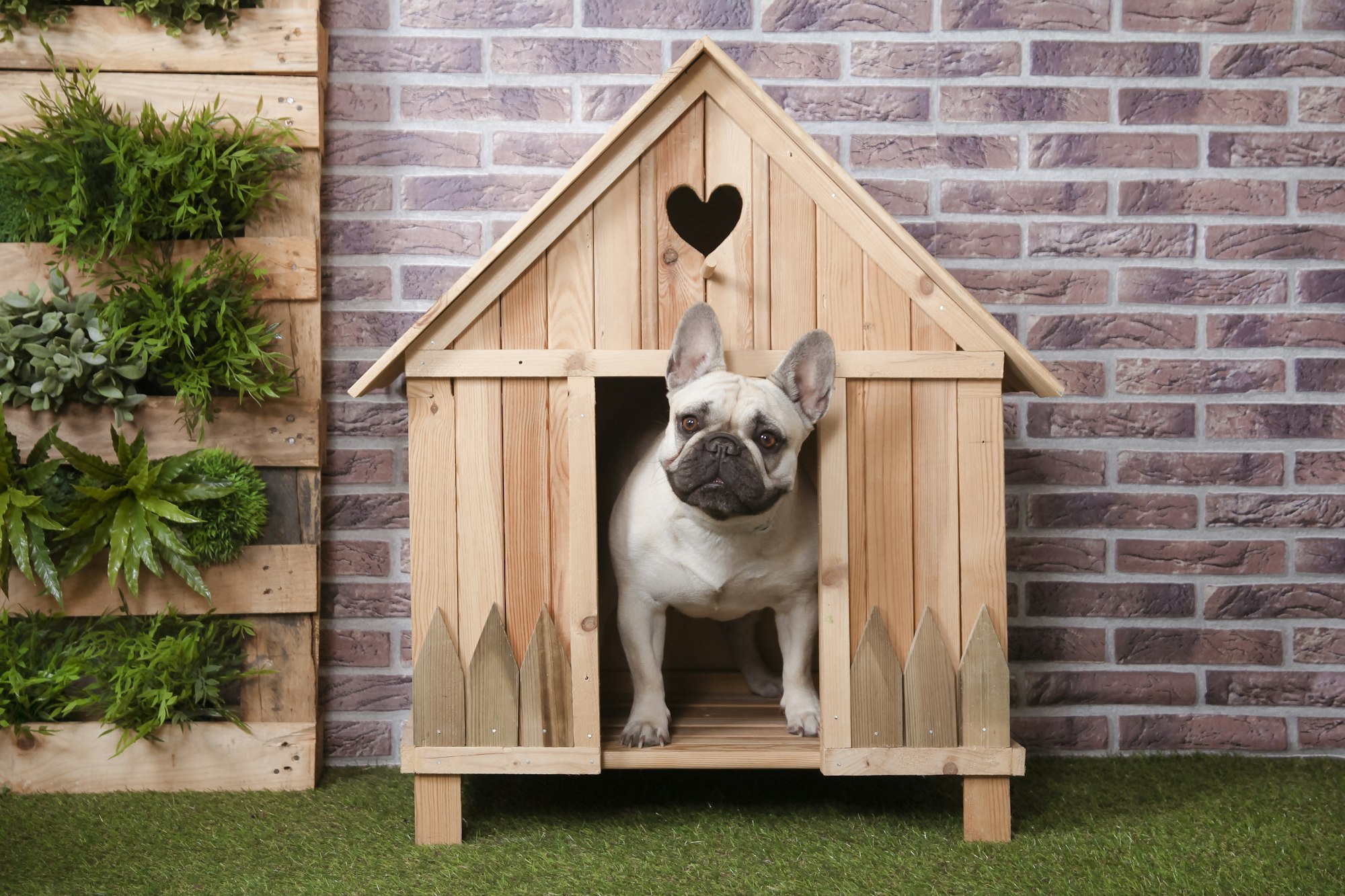 Fabriquer une niche pour chien avec des matériaux de récup' ? Trop