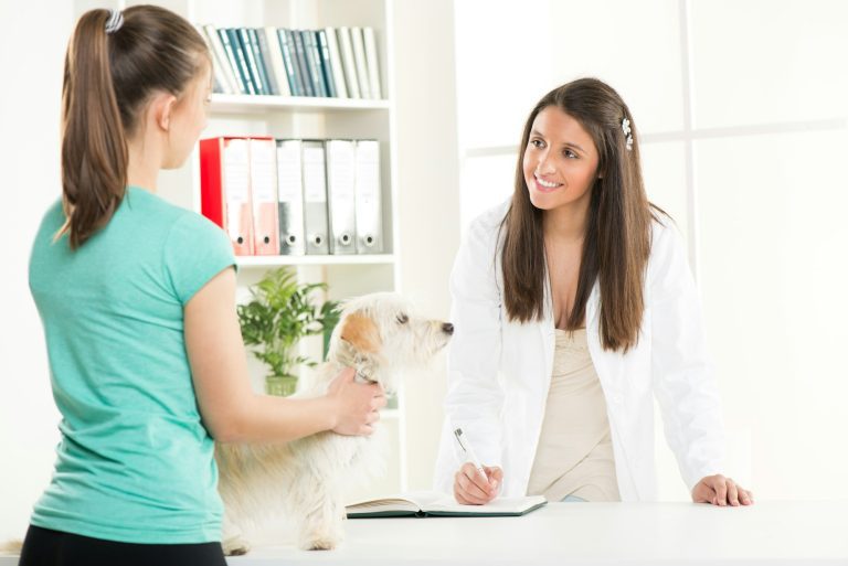Hernie périnéale du chien comprendre, anticiper et traiter/