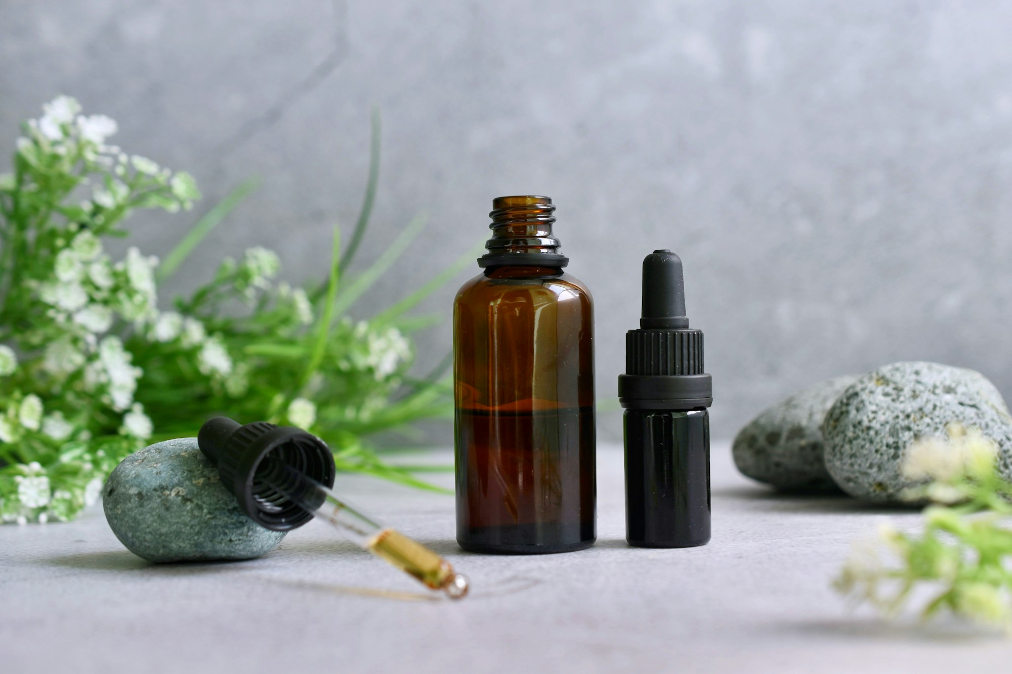 Intoxication aux huiles essentielles chez le chien causes, symptômes, traitements.