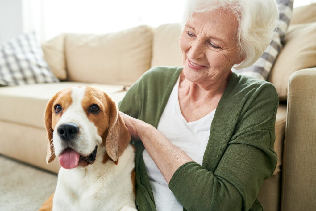 10 minutes de gratouilles par jour = chien et maître heureux