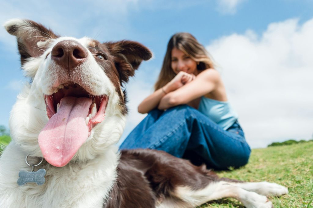 Assurer son chien avec une mutuelle santé : que des avantages !