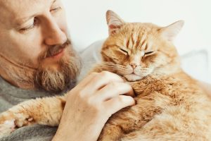 4 conseils pour rendre son chat câlin !