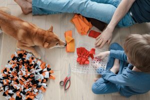 Ces 3 jeux simples peuvent tromper l'ennui chez votre chien resté seul à la maison