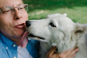 Quand un chien retrouve son maître après des mois de séparation, voici ce qu'il se passe