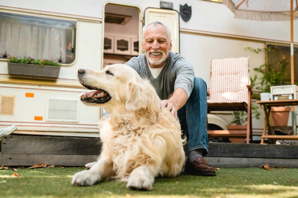 Journée mondiale de la physiothérapie : voici 5 raisons pour lesquelles vous devez envisager cette pratique médicale pour votre chien vieillissant