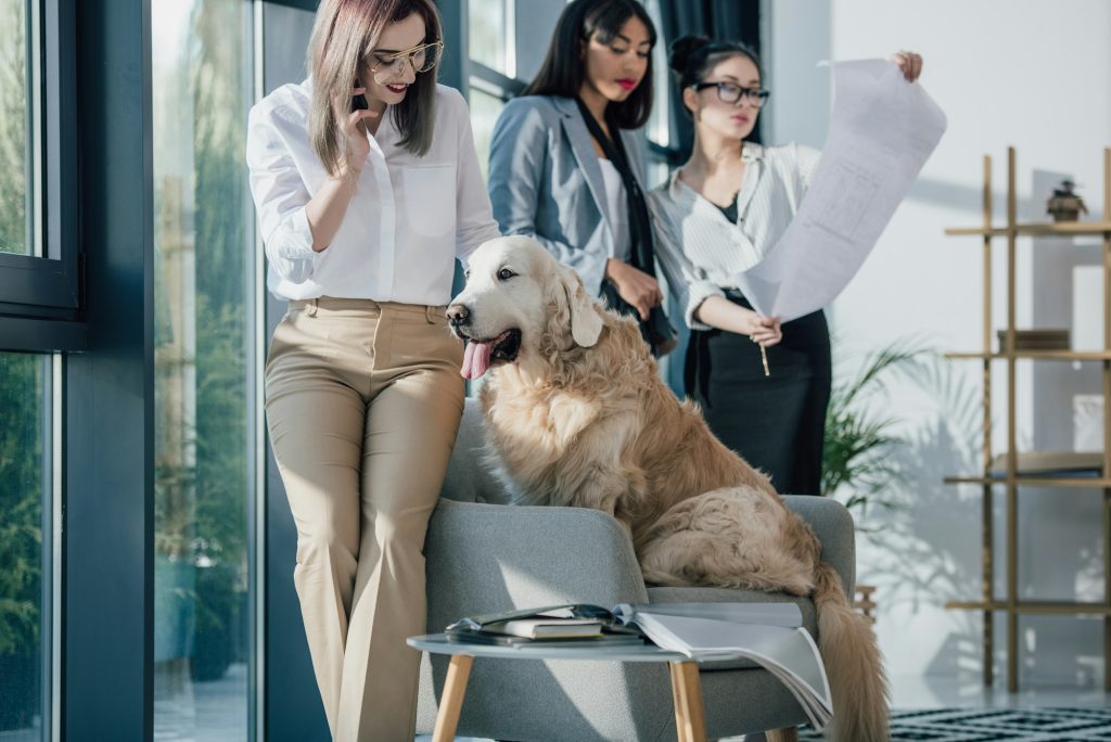 Combien de temps puis-je laisser mon chien seul à la maison ?