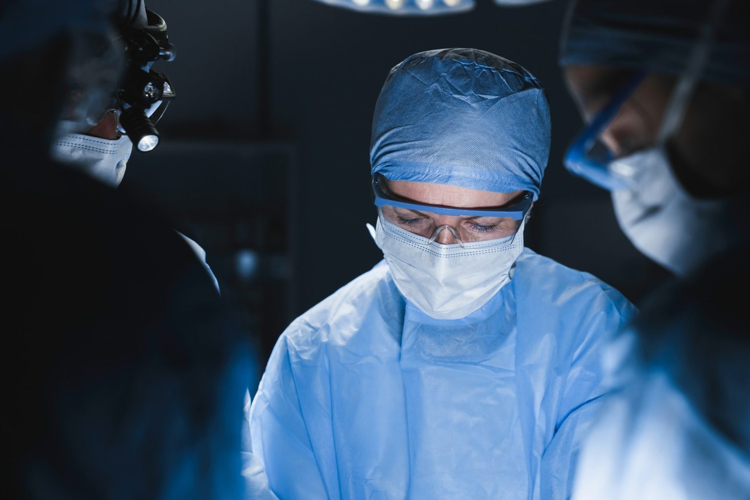 ovario-hyst-rectomie-chez-le-chien-causes-sympt-mes-traitements