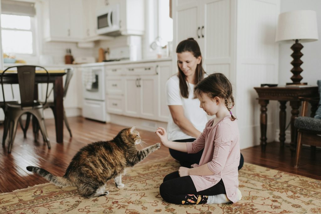 Puis-je éduquer mon chat avec la méthode du Clicker training ?