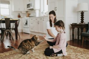 Puis-je éduquer mon chat avec la méthode du Clicker training ?