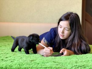 Puppy biting pencil