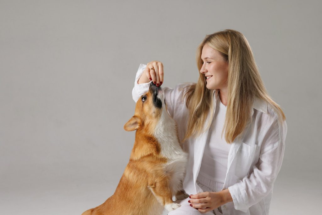 Recette de friandise pour chien de septembre : barres d'avoine au skir et aux fruits rouges