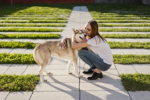 La greffe d'organe existe-t-elle chez nos chiens ? Parlons-en en cette journée mondiale du don d'organe et de la greffe