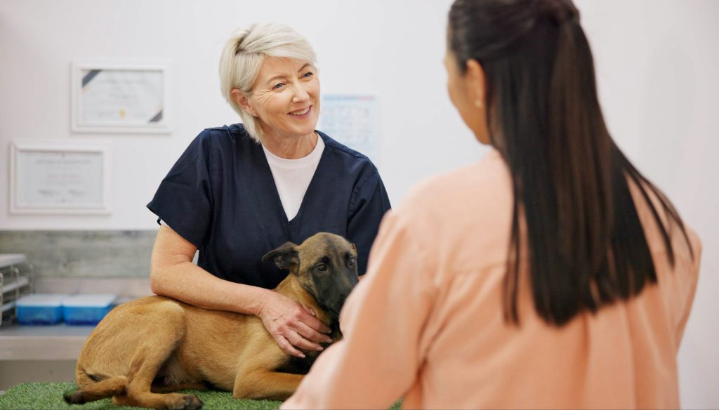 Voici 3 raisons pour lesquelles une assurance santé est une excellente idée pour votre chien