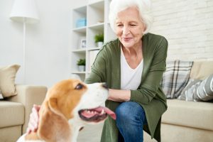 Mon chien se grattouille : voici 3 remèdes de grand-mère qui pourraient bien aider