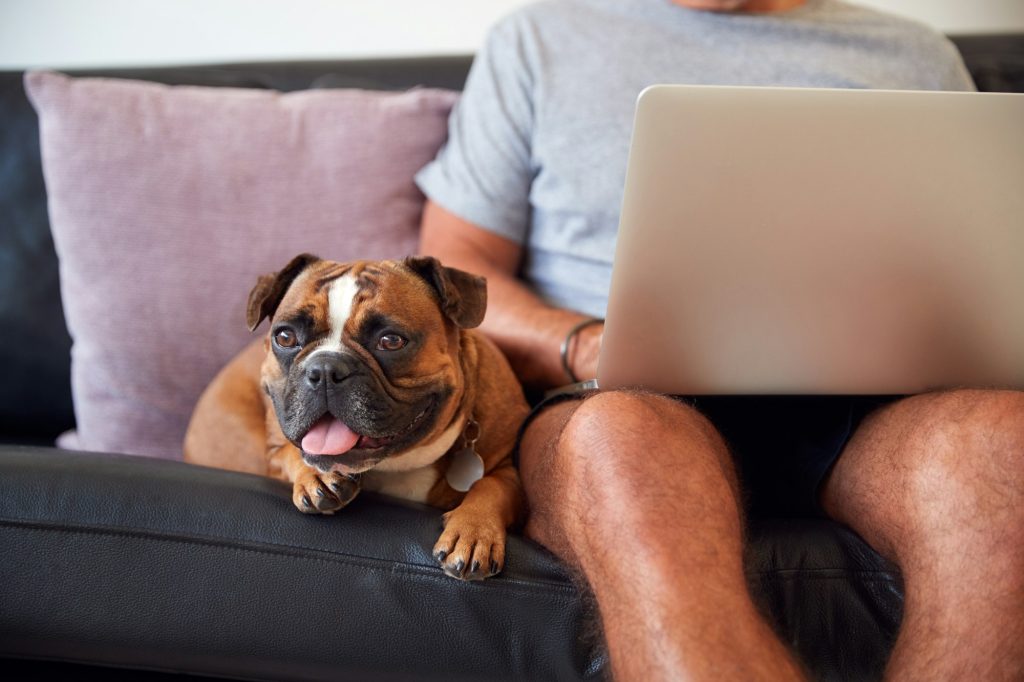 Canapé ou pas canapé ? On vous aide à trancher sur cette question avant l'arrivée de votre chiot à la maison