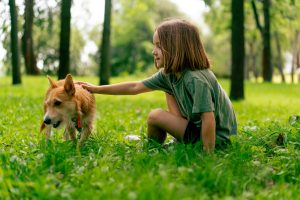 Pourquoi mon chien mange-t-il de l'herbe et faut-il l'en empêcher ?