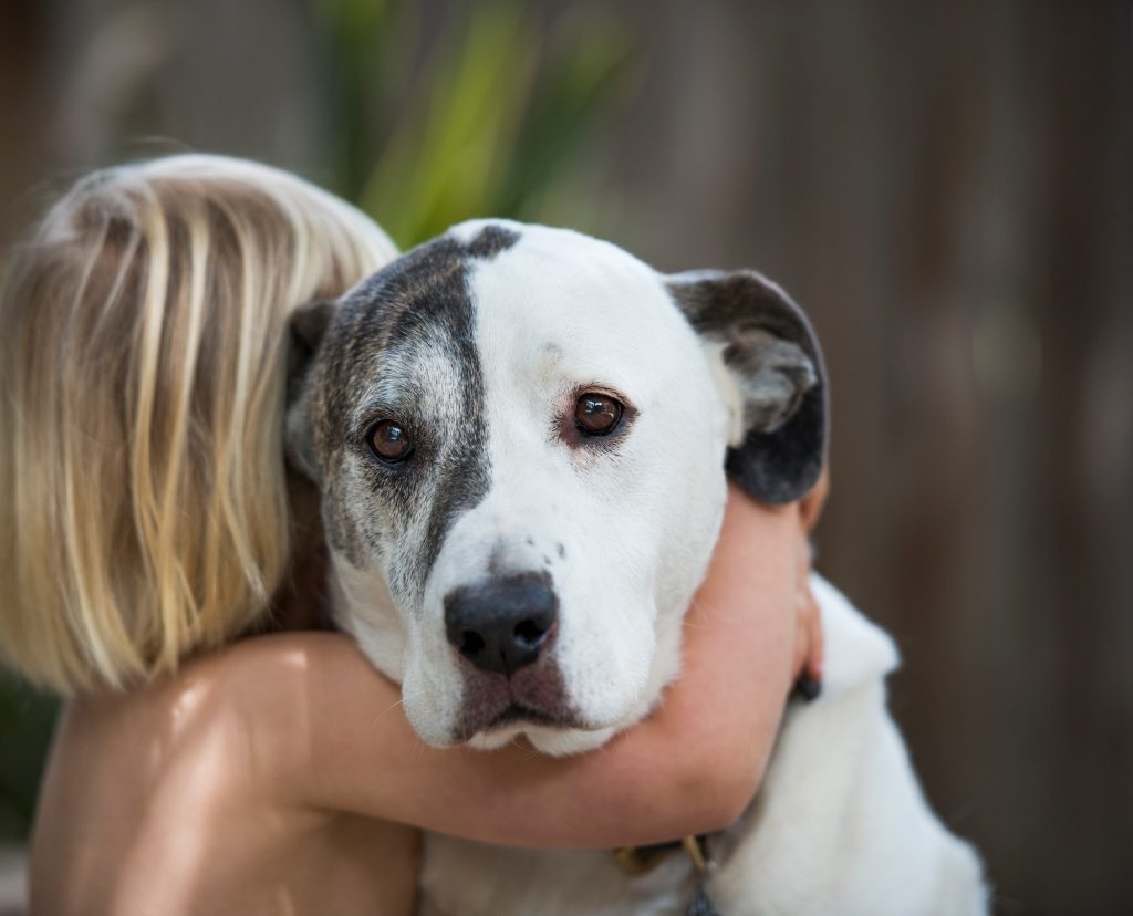 Journée mondiale des droits des animaux : voici ce que l'on peut faire pour offrir une meilleure vie à nos chiens