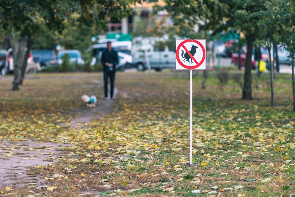 Le coût de l'incivisme : voici ce que vous encourez si vous ne ramassez les crottes de votre chien dans l'espace public