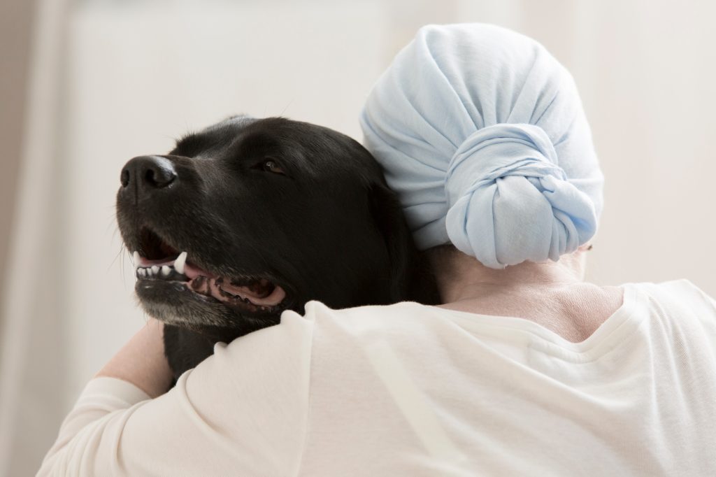 Journée mondiale contre le cancer : voici les trois cancers les plus fréquents chez le chien