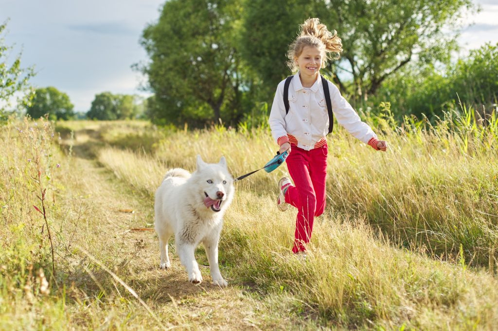 Quand un chien à la maison améliore l'immunité des jeunes enfants