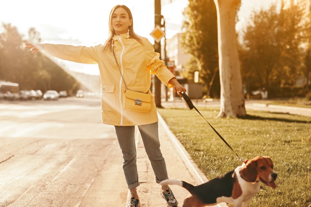 Balade en laisse systématique : gage de sécurité, ou entrave à la liberté pour votre chien ?