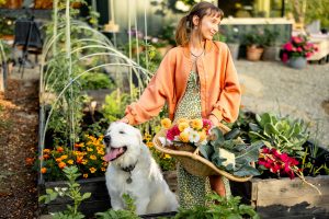 Woman in Garden with Dog and Harvest Basket