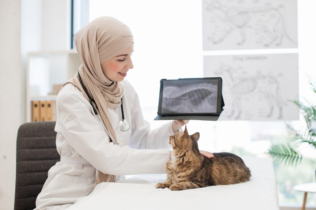 Fibrose pulmonaire chez le chat