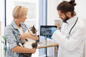 Pneumonie chez le chat