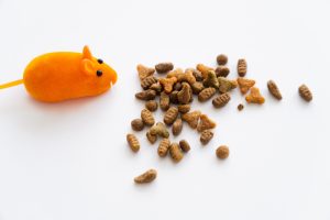 Intoxication à la brométhaline chez le chat