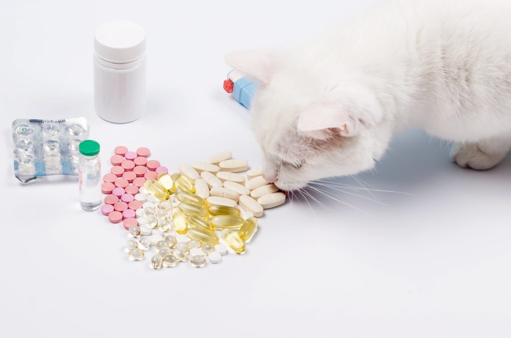 Intoxication au Valium chez le chat
