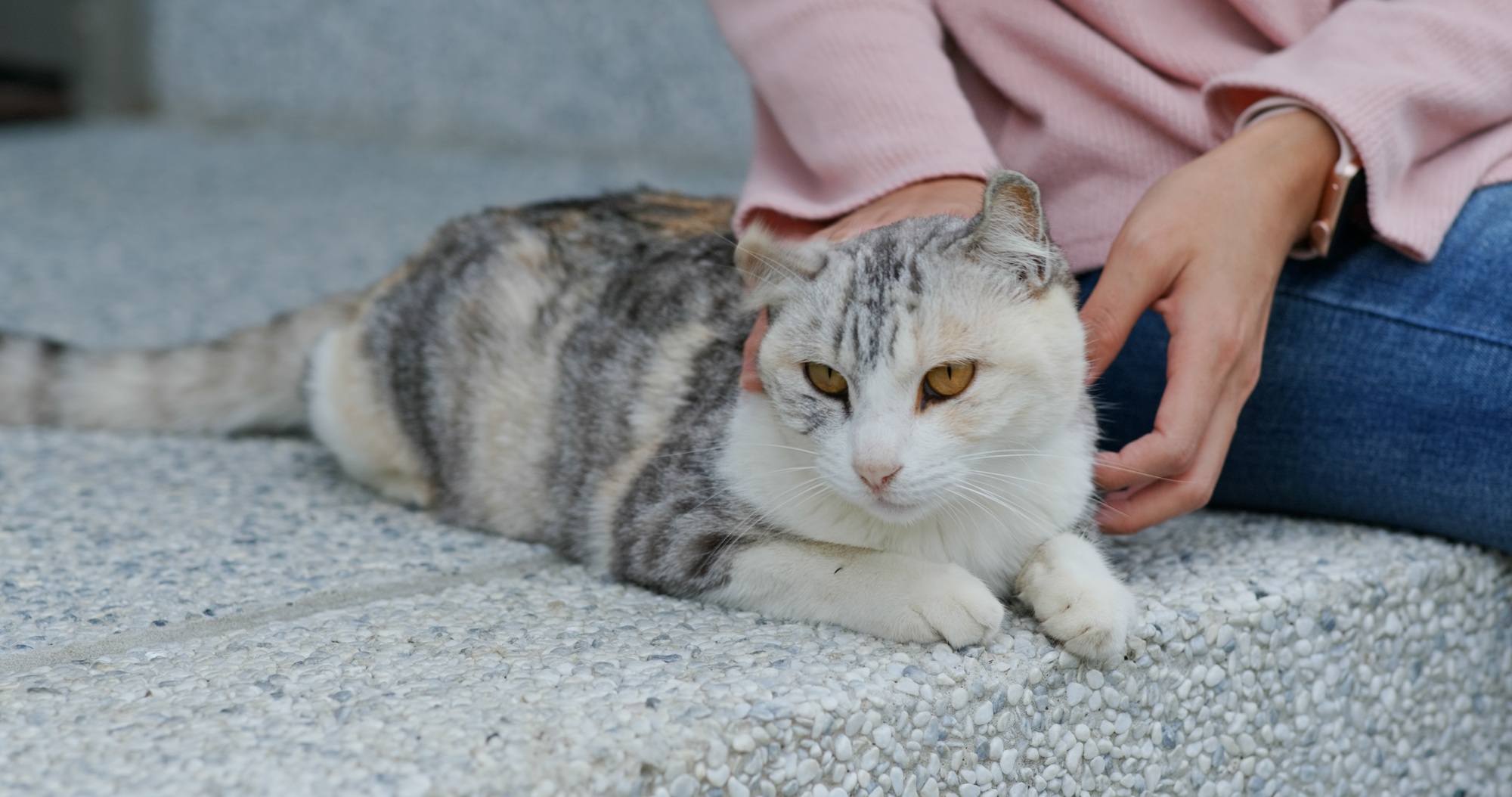 Woman cuddling cat