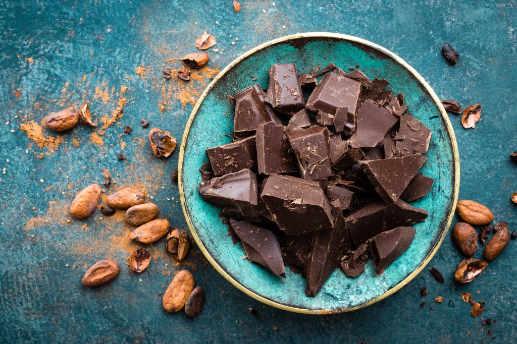 Intoxication au chocolat chez le chat