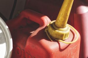 Intoxication aux hydrocarbures chez le chat