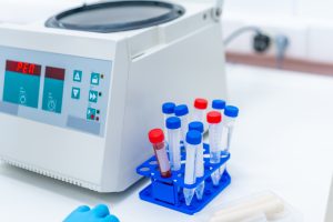 Analyse biochimique chez le chat