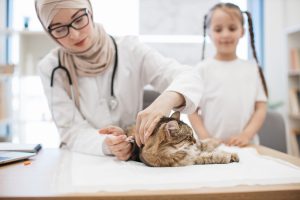 Scintigraphie chez le chat