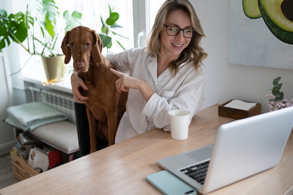 Ces 4 aliments estivaux sont toxiques pour votre chien : ne les lui donnez pas !