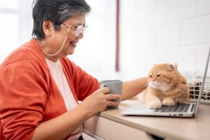 Pourquoi mon chat me suit-il partout ?
