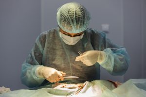 Cholécystectomie chez le chat