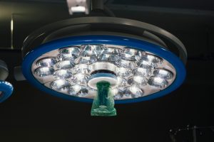 Lobectomie hépatique chez le chat