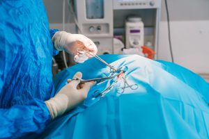 Chirurgie de l'incompétence sphinctérienne chez le chat