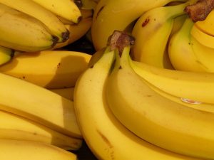 Mon chien peut-il manger de la banane ? Découvrez ses bienfaits expliqués par un vétérinaire
