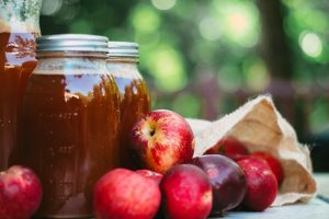 Mon chien peut-il boire du cidre ? les risques expliqués par un vétérinaire.