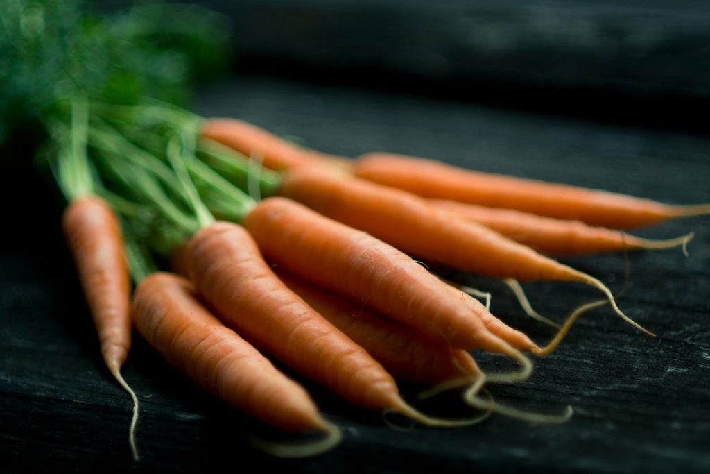 Mon chien peut-il manger des carottes : les bienfaits expliqués par un vétérinaire