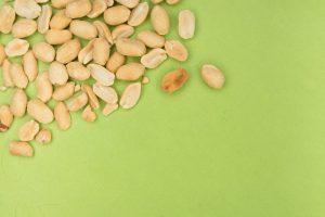 Cacahuètes pour chiens : avis d'expert sur les bénéfices et précautions