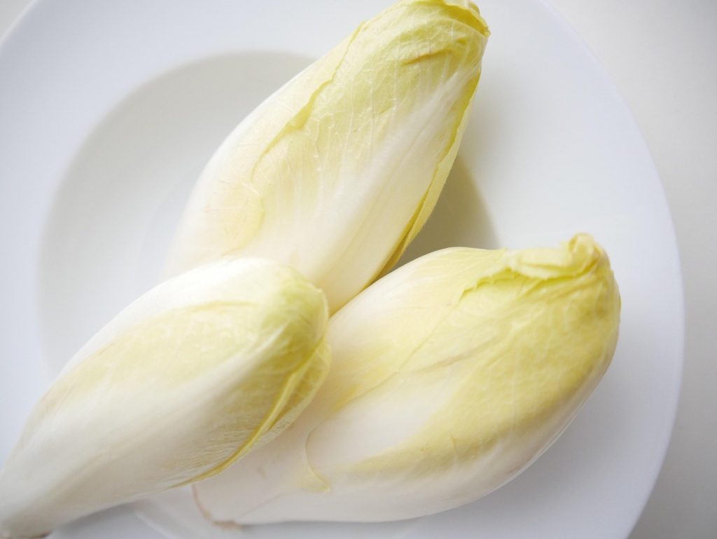 Les bienfaits nutritionnels de l'endive pour votre chien expliqués par un vétérinaire.