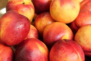 Nectarine et chien : on en parle avec un vétérinaire