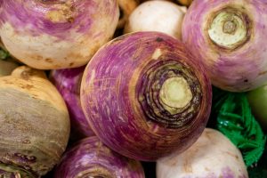 Le navet pour votre chien : une option saine, selon un vétérinaire.