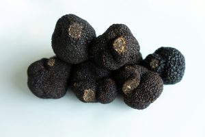 Mon chien peut-il manger des truffes ? Les risques expliqués par un vétérinaire