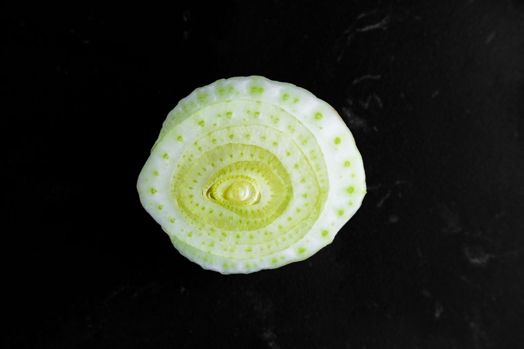 Les bienfaits du fenouil pour les chiens : l'avis d'un vétérinaire