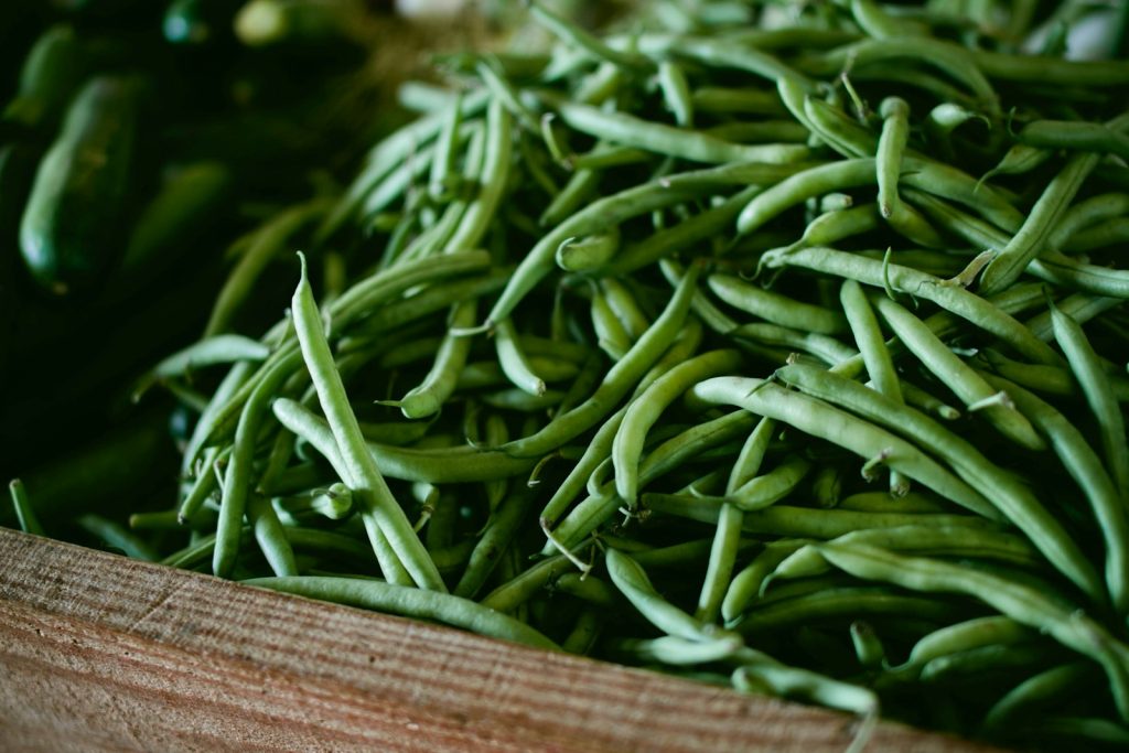 Les haricots verts pour les chiens : pourquoi ils sont une excellente collation